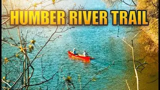 Spring Walk Along Humber River 🌿 Sunny Forest Trail in Toronto | Birds Singing & Nature Sounds 4K