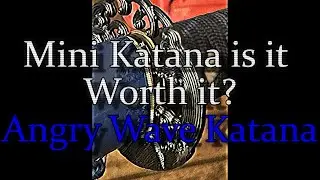 Is Mini Katana Worth it? Angry Wave 1060 Carbon Steel Katana unboxing and review!