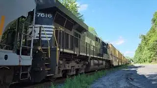 NS 11Z