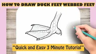 How to Draw Duck Feet | Webbed Feet