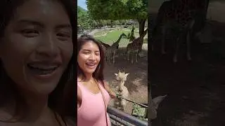 Maylee Fun | Khao Khew Open Zoo