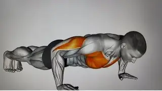The best push up and abs workout for beginners#pushups #absworkout #homeworkout 