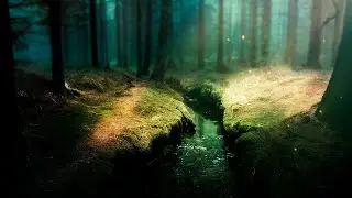 The Ambientalist - The Hidden Path