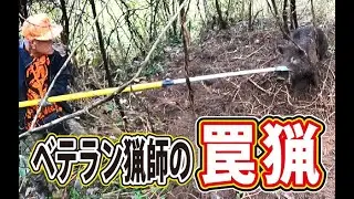 【猪猟】ベテラン猟師の罠猟！ #猪猟 #犬 #犬動画 #狩猟 #有害鳥獣