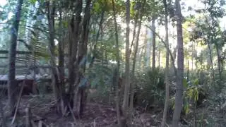 Mini Rainforest - Extreme Proximity // Blackout Mini H Quad // MT1306-10 // CC3D