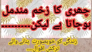Aqwal e zari in Urdu Hindi|Turkish aqwal|Power of words|Quotation about life|Best one line Aqwal