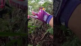 Мотоциклисты запутались и упали на грязной трассе.