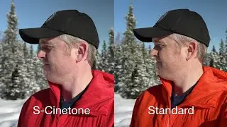 Sony a7s iii s-cinetone vs standard: Sony color compared