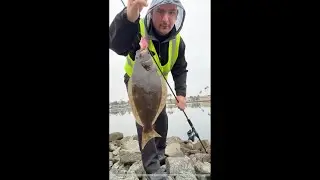 Braved the rain for Two Fish (Live Cut)