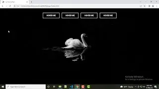 Cool Menu Border Animation Hover Effect HTML & CSS Full Tutorial In Bangla #css #webdesign#mamondots