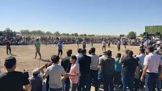 halach kurash кураш