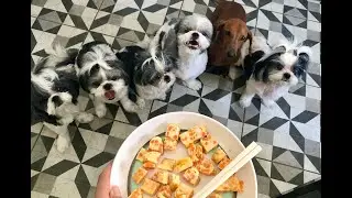 Breakfast Time ⏰ - Jack and the Balbons