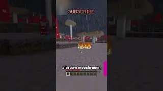 The Best Food In Minecraft