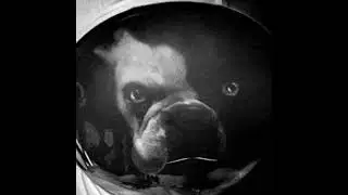 Htek #no@ Le Molosse#techno #Fly###