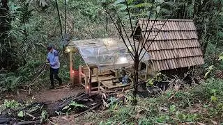Sendiri di Hutan | Petik Hasil Tanaman Lama