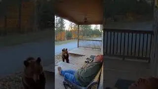 He Woke Up the Wrong Way 😂🐻