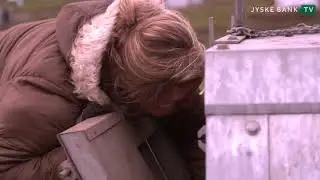 Produktion og forbrug af grisek&oslash;d - Verdensm&aring;l 12
