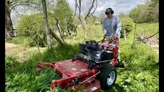 Cleaning up the overgrown grape patch on the farm