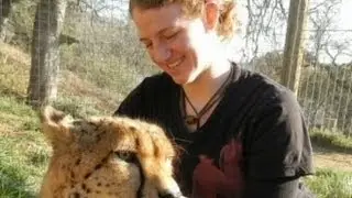 Lion Attack at California's Cat Haven Under Investigation