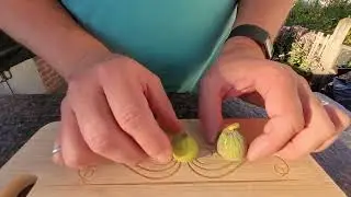 Figoin Main Crop Fig Tasting