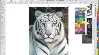 Hand Drawn Artistic Effects with CorelDRAW