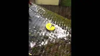 Low Pressure Roof Cleaning in Everett, WA