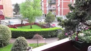 Canon Powershot SX230 HS fullHD 1080p video test