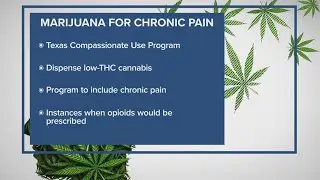 Some Texas lawmakers hoping to expand medical marijuana program for those suffering from chronic pai
