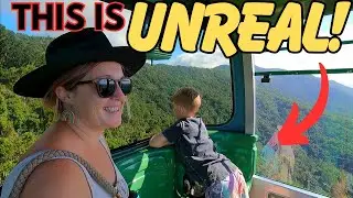 Exploring Cairns / an experience not to be missed / living in a caravan with two dogs