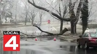 Ann Arbor community fights back against utility company after ice storm