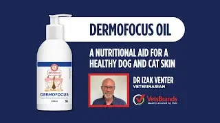 Support Your Pet&rsquo;s Skin Health with DermoFocus