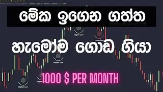 මේක ඉගෙන ගත්ත හැමෝම ගොඩ ගියා .|Make money on crypto trading easy