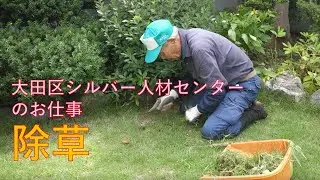 【大田区シルバー人材センター】シルバー人材センターのお仕事（第7弾：除草作業）