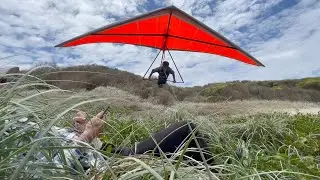 The Flying Fossils