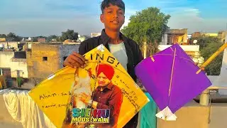 Hamare pass bahut hi badi badi Patang Hai #pushkar #vlog #food #vlogs 