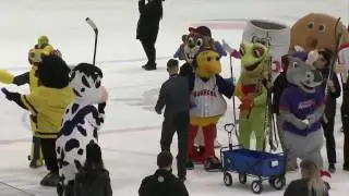 Mascot Madness