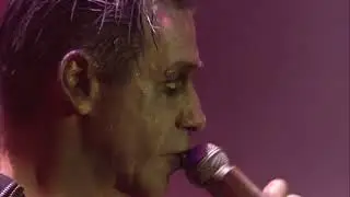 Rammstein - Amerika (Live Pinkpop 2016)
