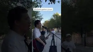 Chris Isaac - wicked game (cover)