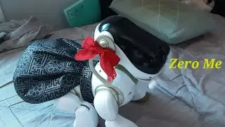 My robot dog Zero Me costume show 💕