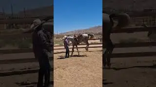 Capriole