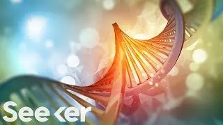 Are Your Political Beliefs Genetic?