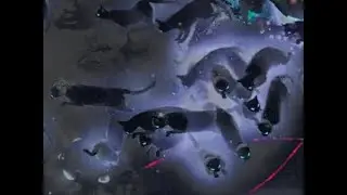 Cats on Crit Soulrend Assassin Farms Ubers & Endgame - My Biggest Poison DPS Ever I Think?