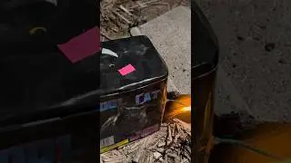 Insane Small Firework (Cool Cat 200 gram)