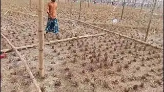 North East Ejtema Darrang Assam at Balabari.Date..16/12/2025.