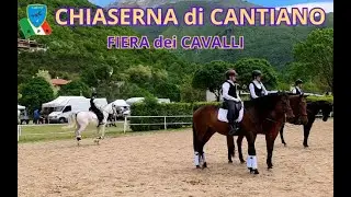CANTIANO FIERA  CAVALLI ( PU )🐴#gabbyfly #marche #cantiano #cavalli #drone #horse