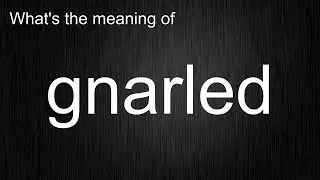 What's the meaning of 