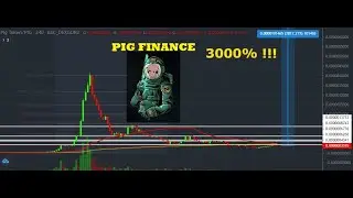 Make 2800% with Pig Finance !!