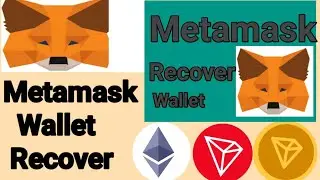 How to Recover Metamask Wallet | Recovery Your Metamask Wallet | Creators Tech Studio
