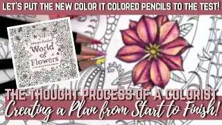 MY THOUGHT PROCESS - Creating a Plan | Putting the NEW COLORIT COLORED PENCILS to the test!