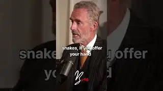 Jordan Peterson Explains How To Stop Letting People Walk All Over You